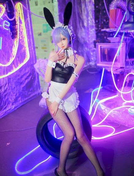 哺乳动物在线观看